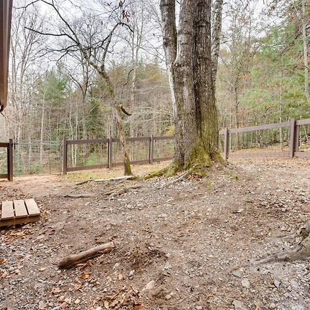 Peaceful Warne Cabin Fenced Yard And Screened Porch Brasstown Экстерьер фото