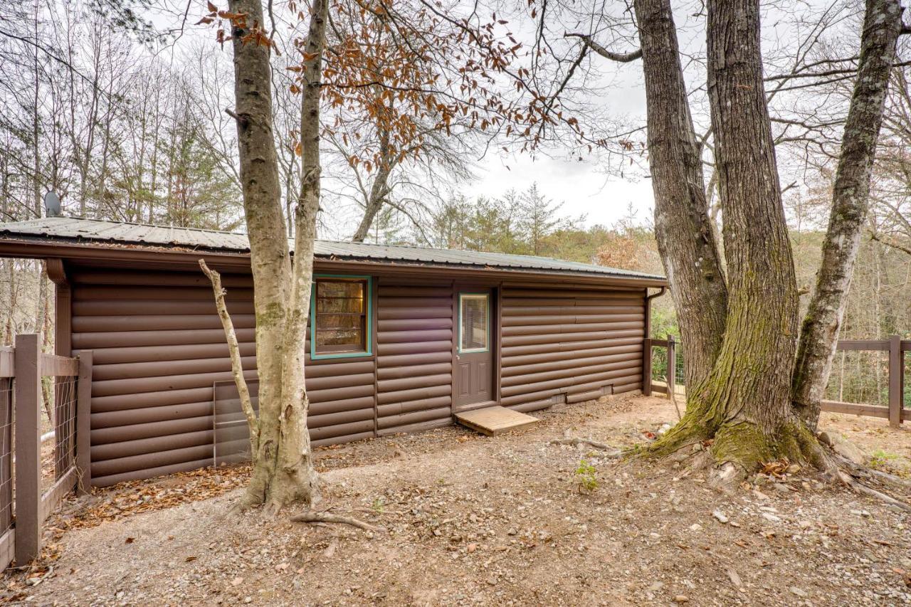 Peaceful Warne Cabin Fenced Yard And Screened Porch Brasstown Экстерьер фото
