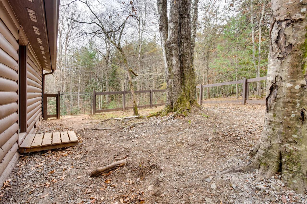 Peaceful Warne Cabin Fenced Yard And Screened Porch Brasstown Экстерьер фото